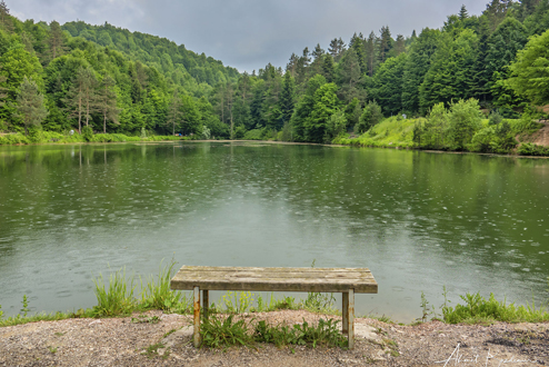 Düzce Kaynaşlı’da Villa Yatırımı: Geleceğinizi Şekillendirin