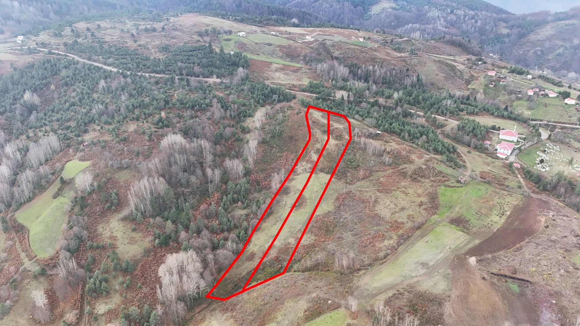 RUŞEN AYDIN GAYRİMENKUL, KAYNAŞLI YENİYURT KÖYÜNDE SATILIK ARSALAR